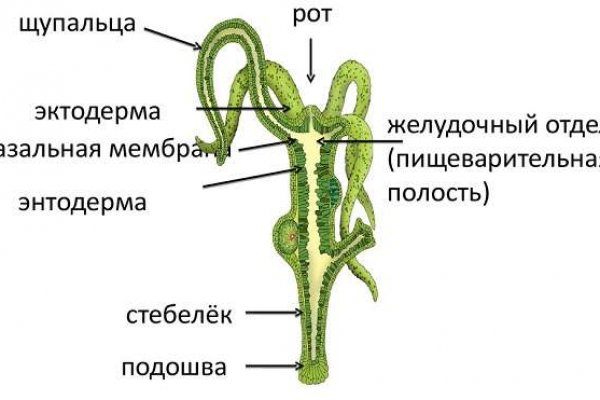 Купить гашиш тг